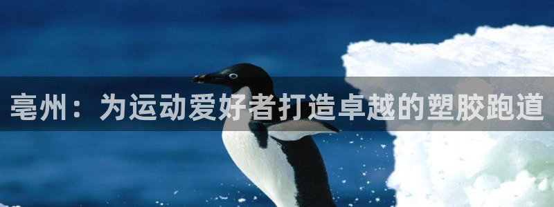谈球吧平台正规吗可信吗知乎：亳州：为运动爱好者打造卓