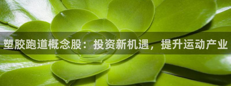 谈球吧app官方下载：塑胶跑道概念股：投资新机遇，提升运动产业