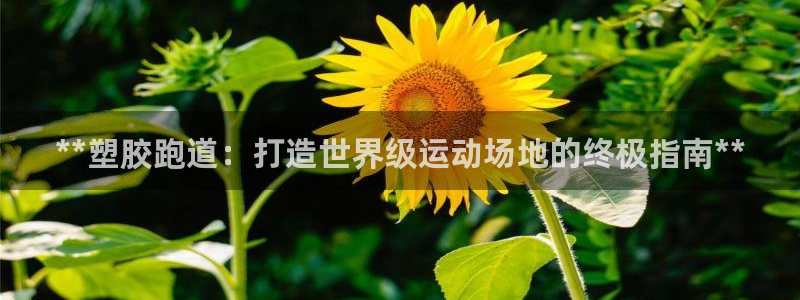 谈球吧官网首页：**塑胶跑道：打造世界级运动场地的终