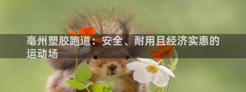 谈球吧官网入口：亳州塑胶跑道：安全、耐用且经济实惠的
运动场