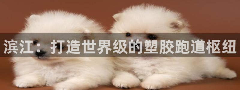 谈球吧下载地址：滨江：打造世界级的塑胶跑道枢纽