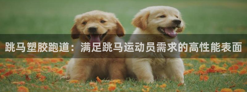 谈球吧官网在线入口网址：跳马塑胶跑道：满足跳马运动员需求的高性能表面