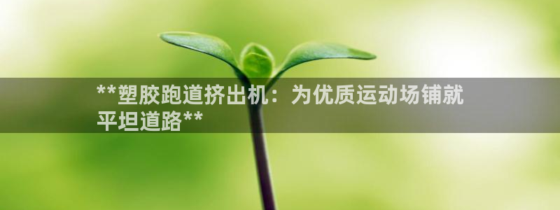 谈球吧体育：**塑胶跑道挤出机：为优质运动场铺就
平坦道路**