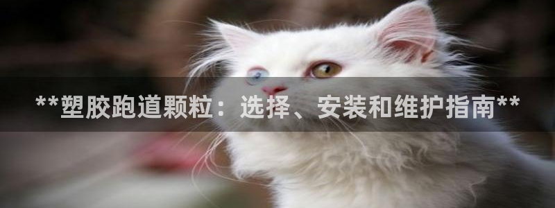谈球吧官网下载：**塑胶跑道颗粒：选择、安装和维护指