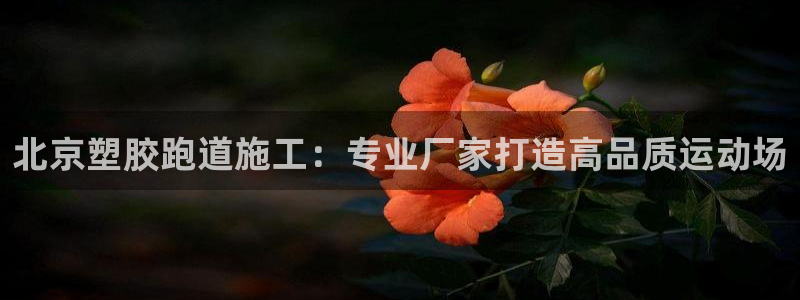 谈球吧官网入口：北京塑胶跑道施工：专业厂家打造高品质运动场