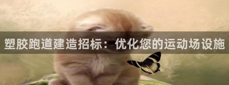 谈球吧在线登录免费观看：塑胶跑道建造招标：优化您的运