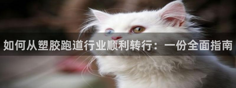 谈球吧App：如何从塑胶跑道行业顺利转行：一份全面指