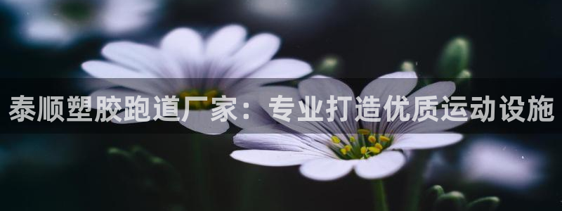 谈球吧登录：泰顺塑胶跑道厂家：专业打造优质运动设施