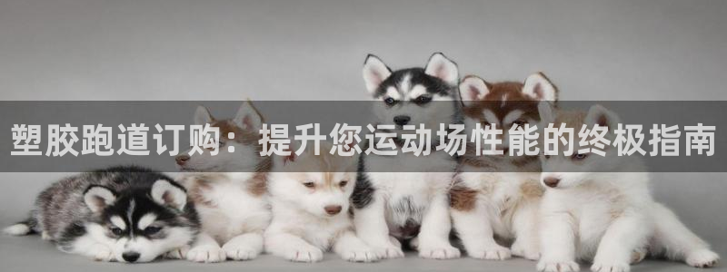谈球吧是正规平台吗知乎：塑胶跑道订购：提升您运动场性