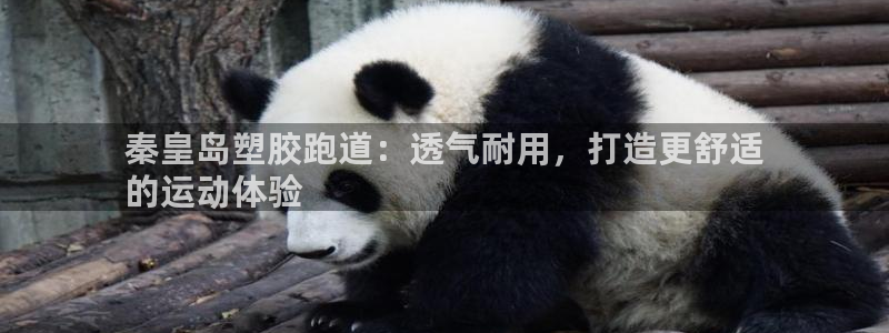 谈球吧官网在线入口手机版免费：秦皇岛塑胶跑道：透气耐用，打造更舒适
的运动体验