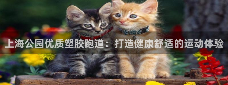谈球吧算违法行为吗知乎：上海公园优质塑胶跑道：打造健