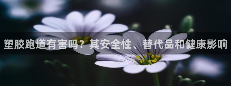 谈球吧怎么样?：塑胶跑道有害吗？其安全性、替代品和健