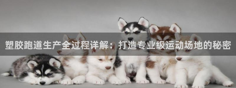 谈球吧体育官方入口：塑胶跑道生产全过程详解：打造专业