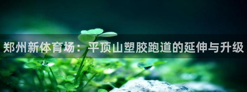 谈球吧app赛事分析报告怎么做