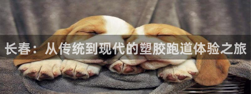 谈球吧官网在线入口手机版免费下载
