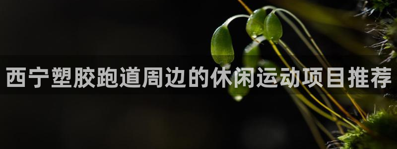 谈球吧是正规平台吗知乎