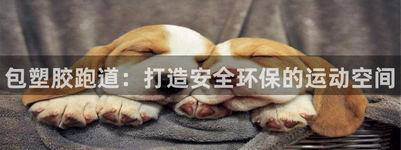 谈球吧体育app下载中心官方最新版