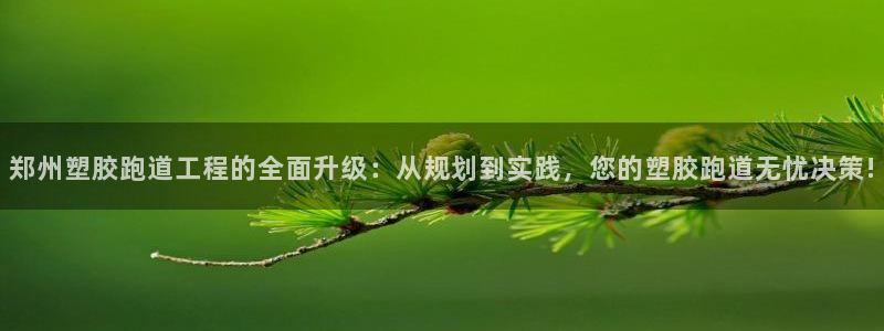 谈球吧网页登陆