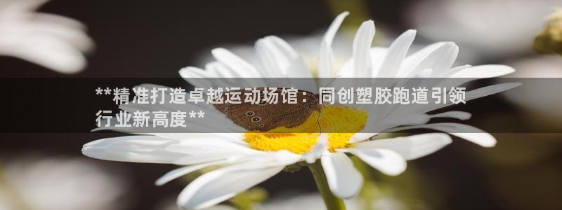 谈球吧在线登陆：**精准打造卓越运动场馆：同创塑胶跑道引领
