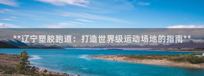 谈球吧下载地址：**辽宁塑胶跑道：打造世界级运动场地的指南*