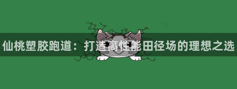谈球吧平台app：仙桃塑胶跑道：打造高性能田径场的理想之选
