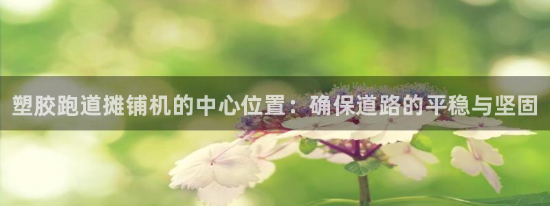 谈球吧平台正规吗可靠吗