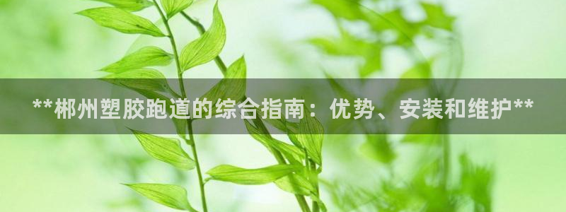 谈球吧网页版在线入口：**郴州塑胶跑道的综合指南：优