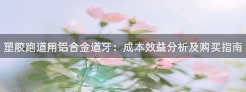 谈球吧体育app下载：塑胶跑道用铝合金道牙：成本效益分析及购买指南