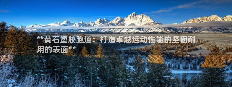 谈球吧app官网下载：**黄石塑胶跑道：打造卓越运动性能的坚