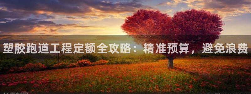 谈球吧全站app下载手机版：塑胶跑道工程定额全攻略：精准预算，避免浪费