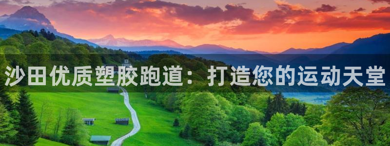 谈球吧app体育下载官网：沙田优质塑胶跑道：打造您的