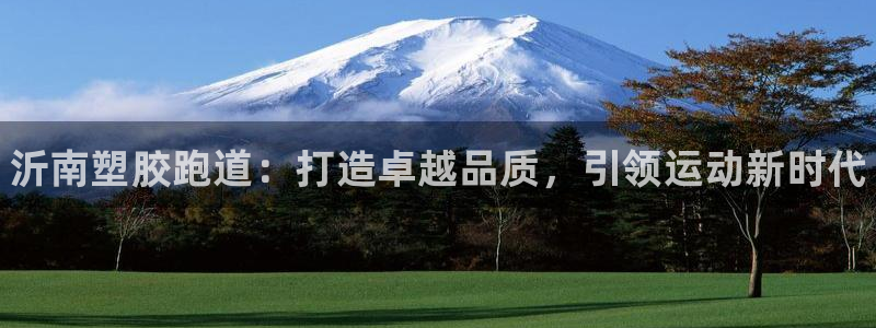 谈球吧网页版：沂南塑胶跑道：打造卓越品质，引领运动新时代
