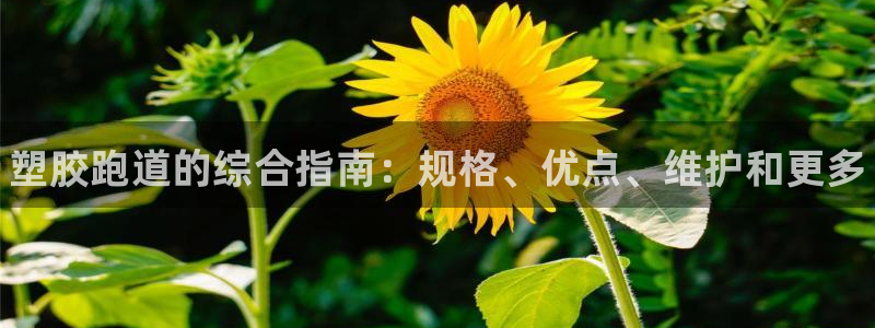 谈球吧算违法行为吗为什么：塑胶跑道的综合指南：规格、优点、维护和更多