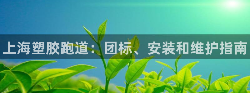 谈球吧app官方下载：上海塑胶跑道：团标、安装和维护指南