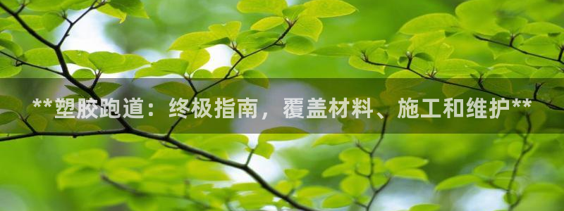 谈球吧属于哪个旗下的品牌：**塑胶跑道：终极指南，覆盖材料、施工和维护**
