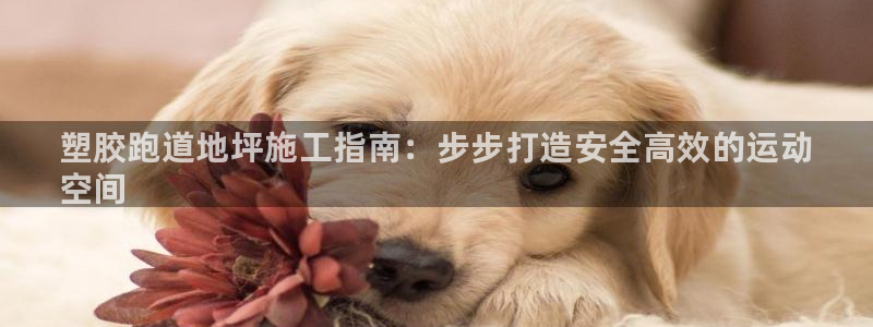 谈球吧APP入口：塑胶跑道地坪施工指南：步步打造安全