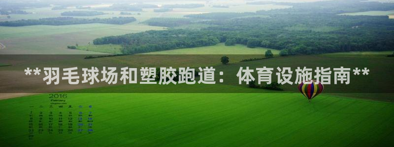 谈球吧红包码：**羽毛球场和塑胶跑道：体育设施指南*