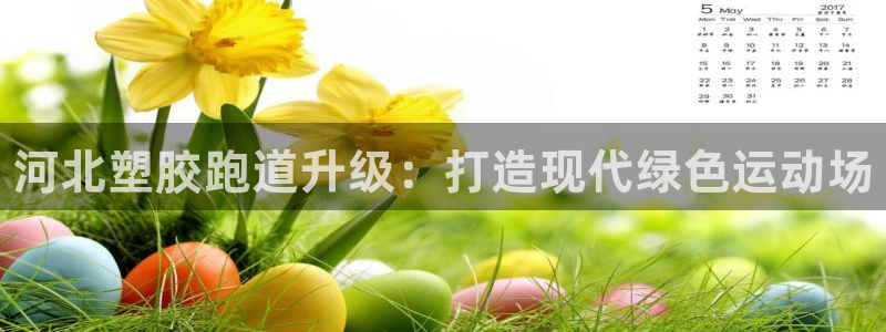 谈球吧入口：河北塑胶跑道升级：打造现代绿色运动场