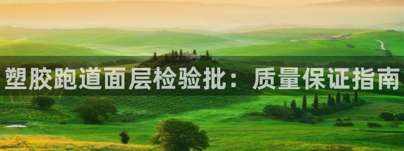 谈球吧nba：塑胶跑道面层检验批：质量保证指南