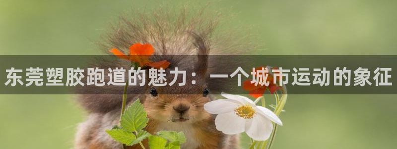 谈球吧是正规平台吗