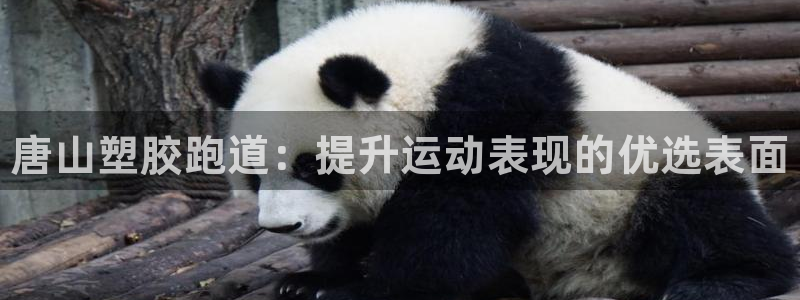 谈球吧体育app下载足球比赛：唐山塑胶跑道：提升运动