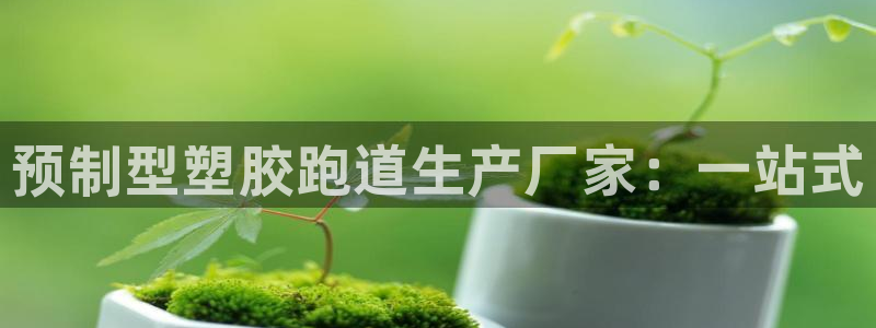 谈球吧黑款：预制型塑胶跑道生产厂家：一站式